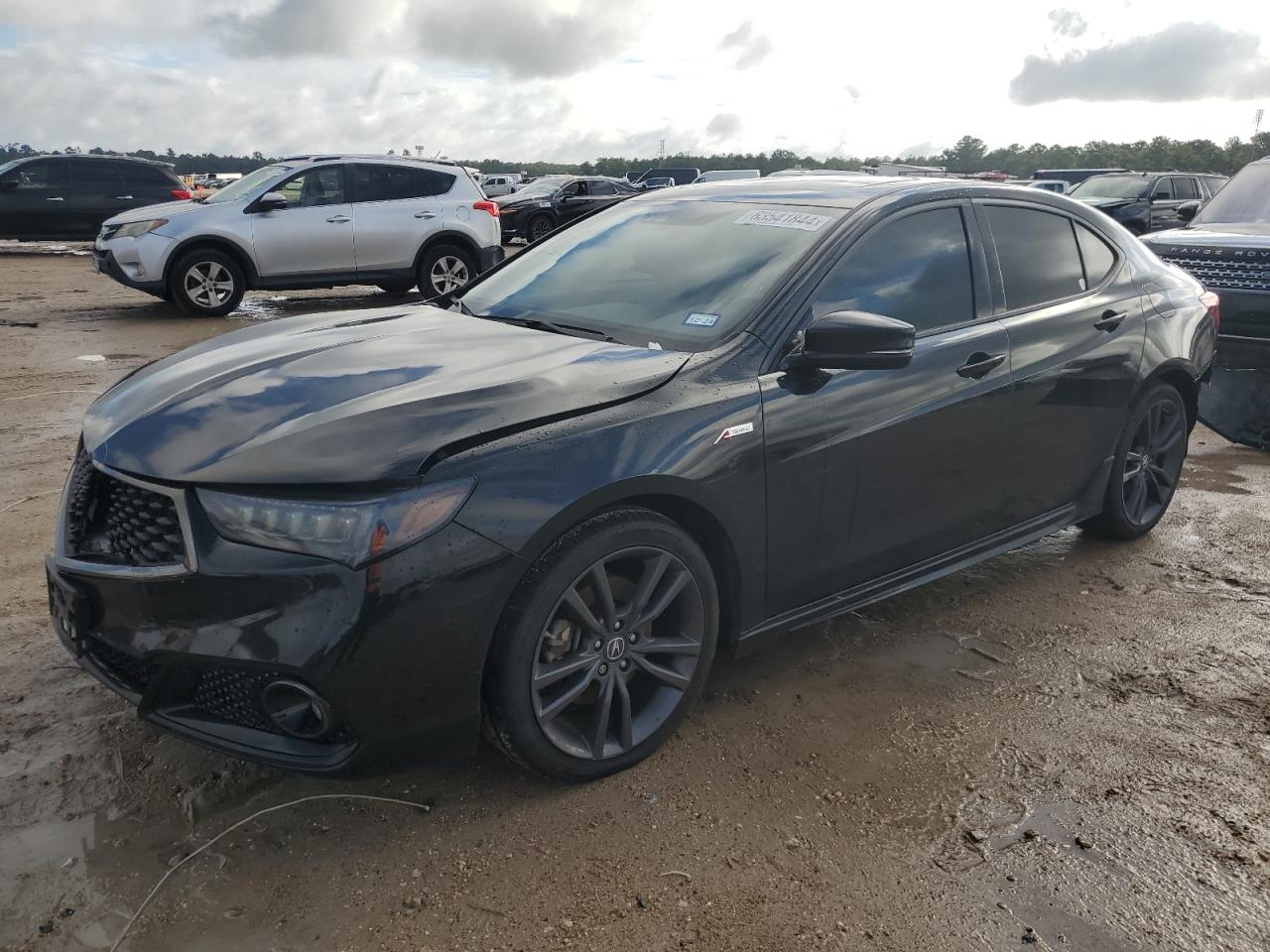 ACURA TLX TECHNO 2019
