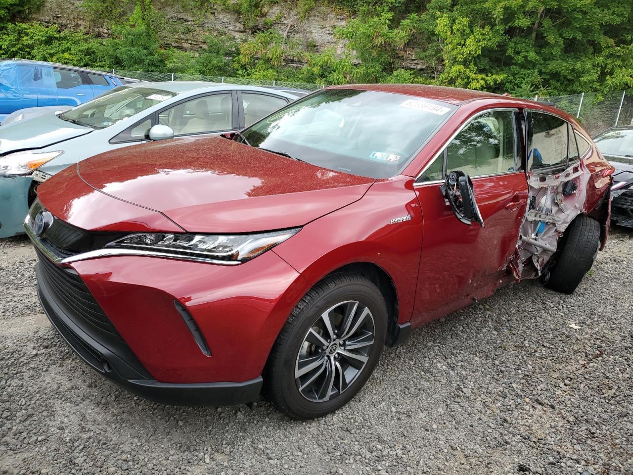 TOYOTA VENZA LE 2021