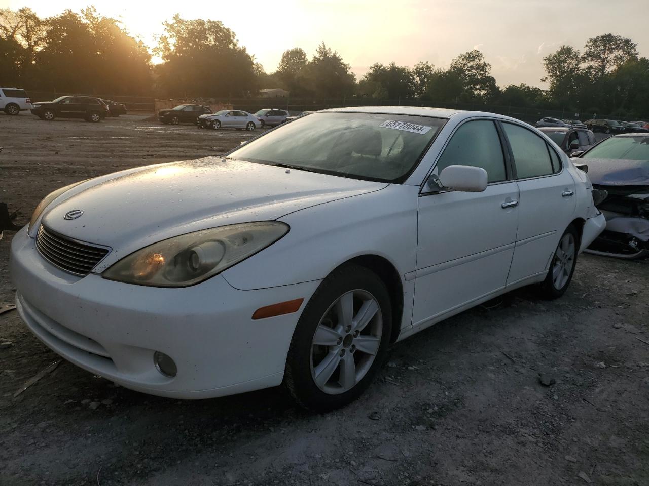 LEXUS ES 330 2005