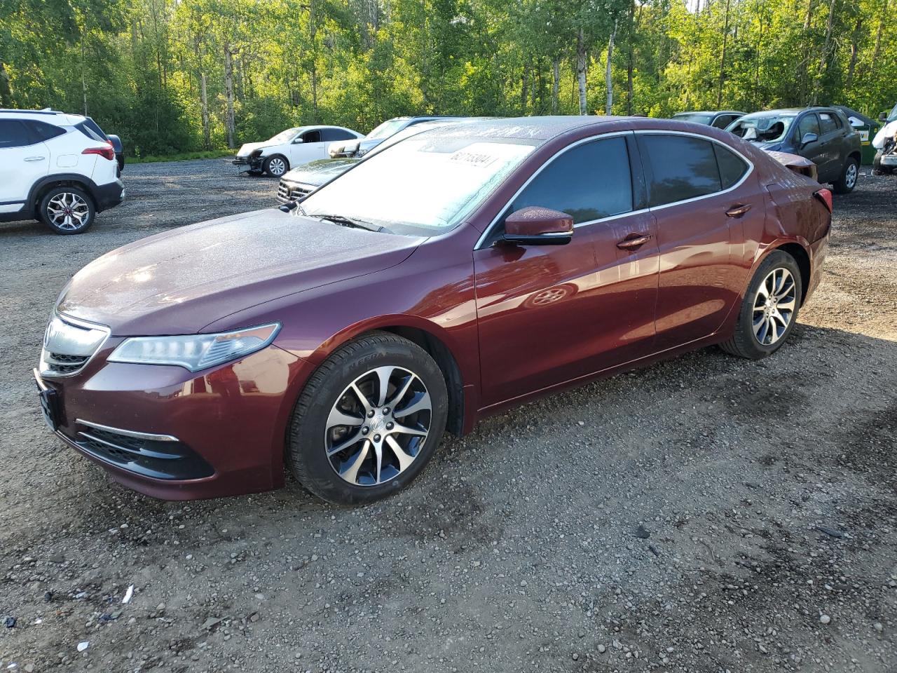ACURA TLX TECH 2015