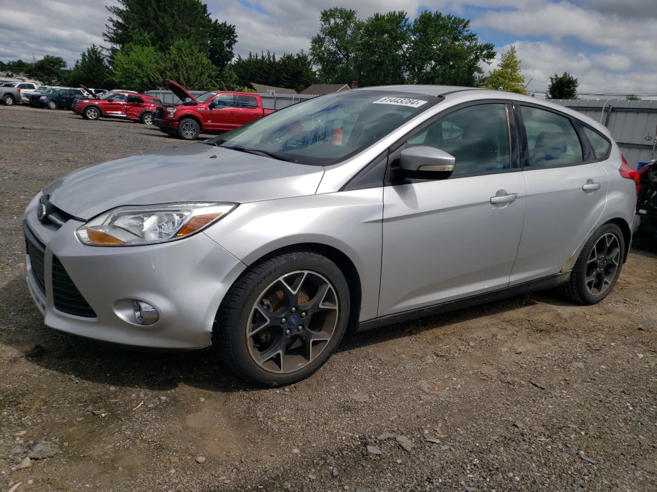 FORD Focus Se 2014