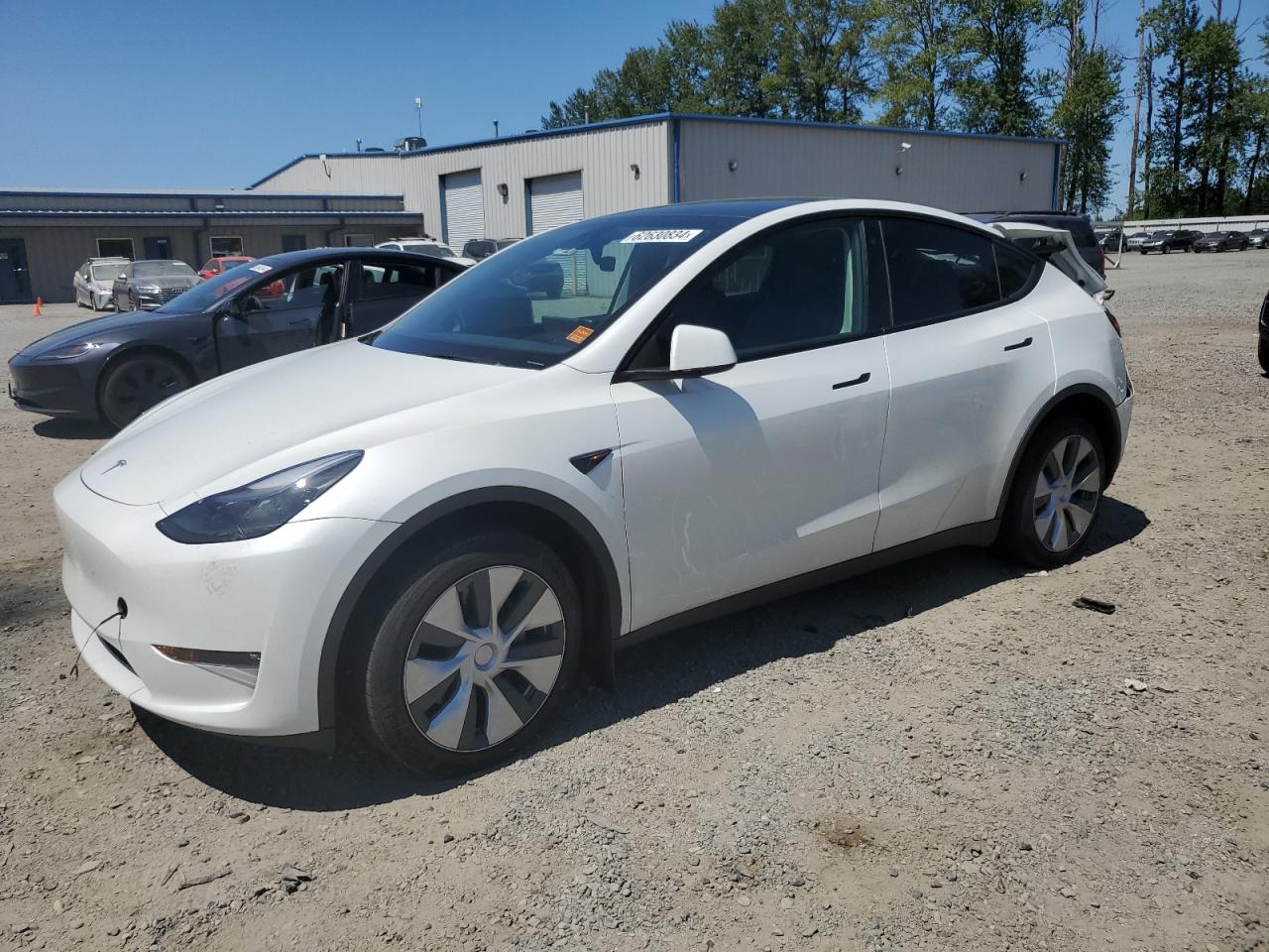 TESLA MODEL Y 2023