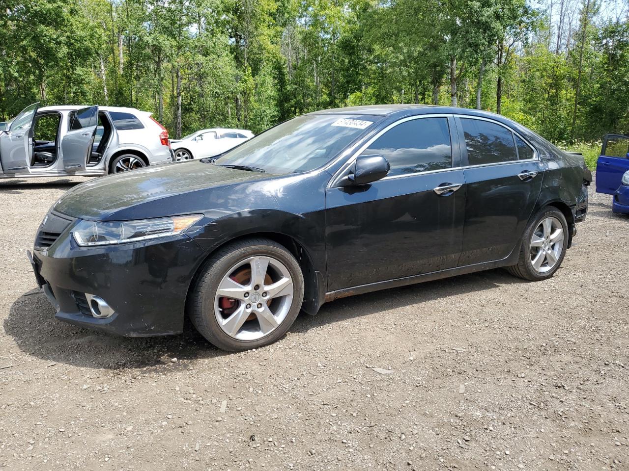 ACURA TSX 2011