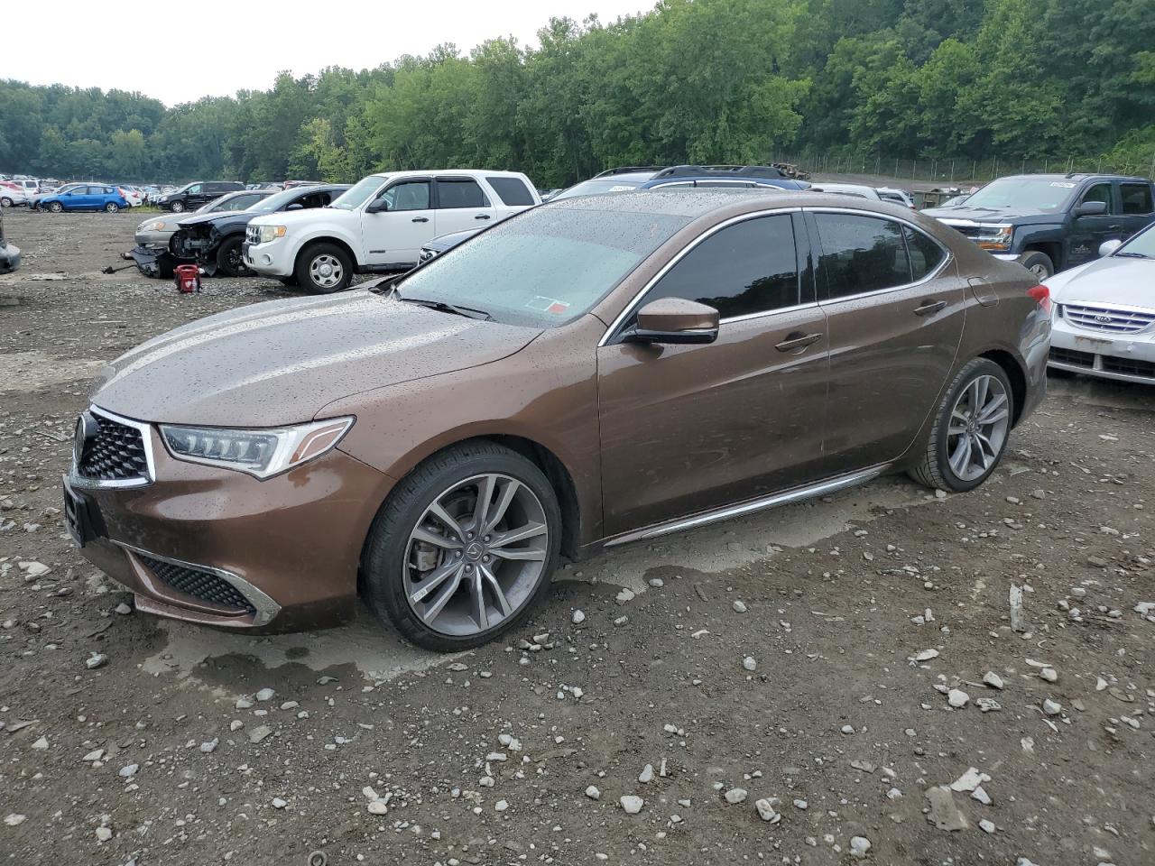 ACURA TLX 2020