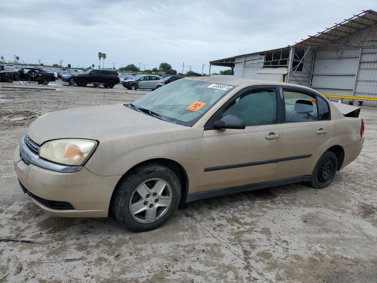 CHEVROLET MALIBU 2005