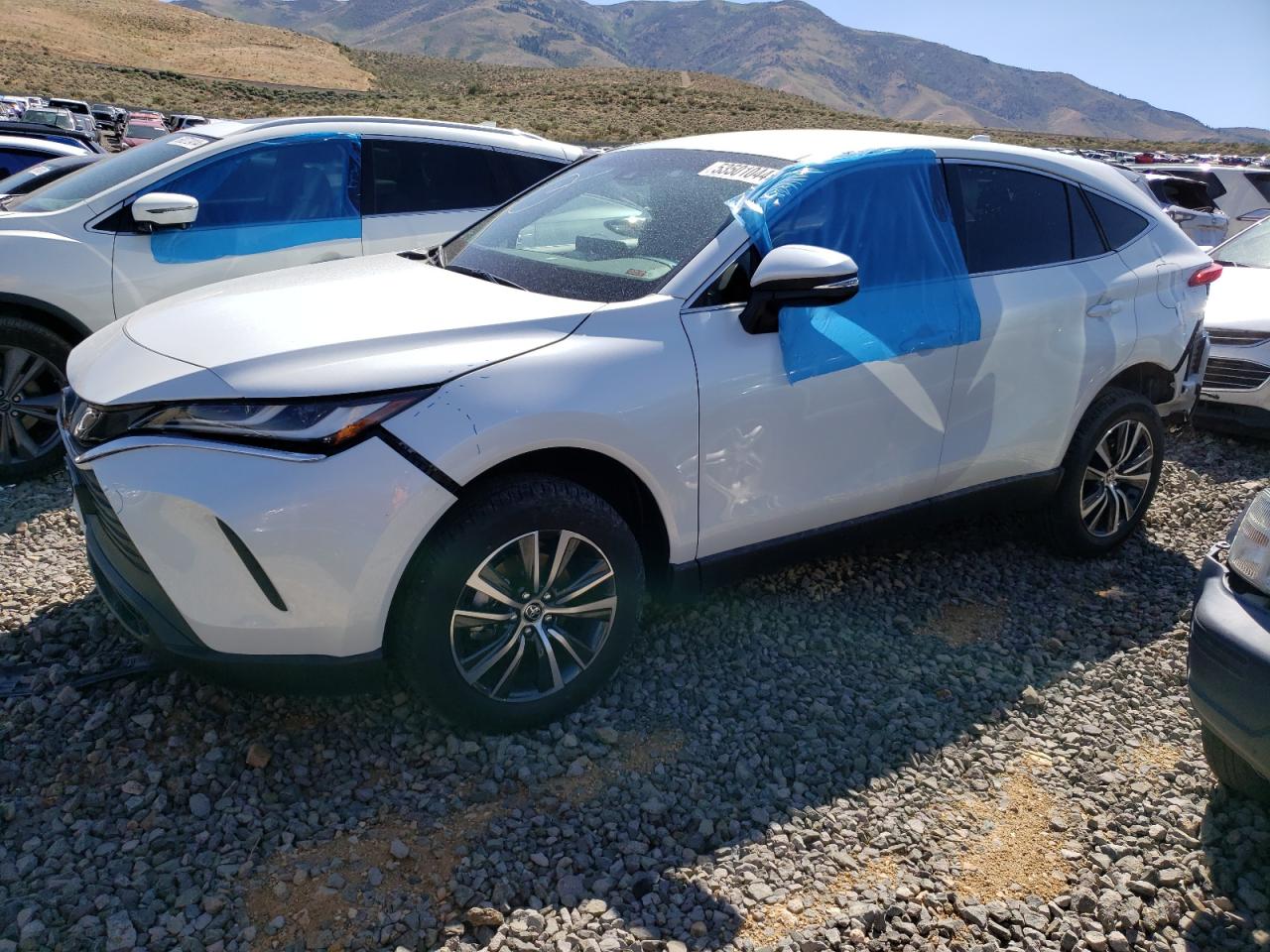TOYOTA VENZA LE 2024