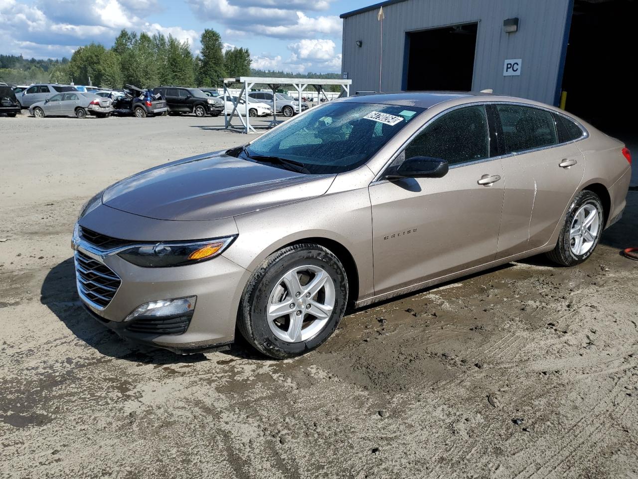 CHEVROLET MALIBU LT 2023