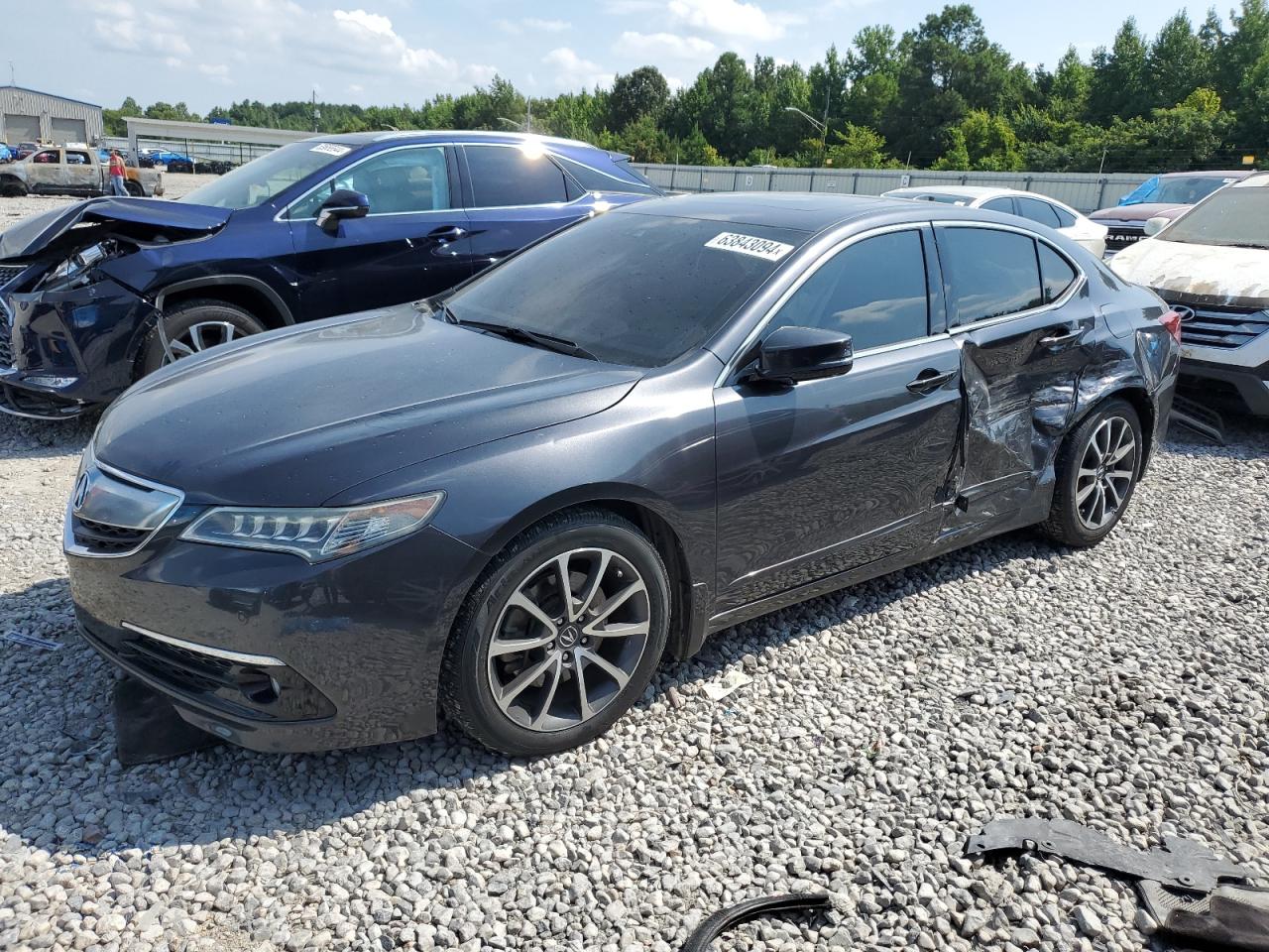 ACURA TLX ADVANC 2015