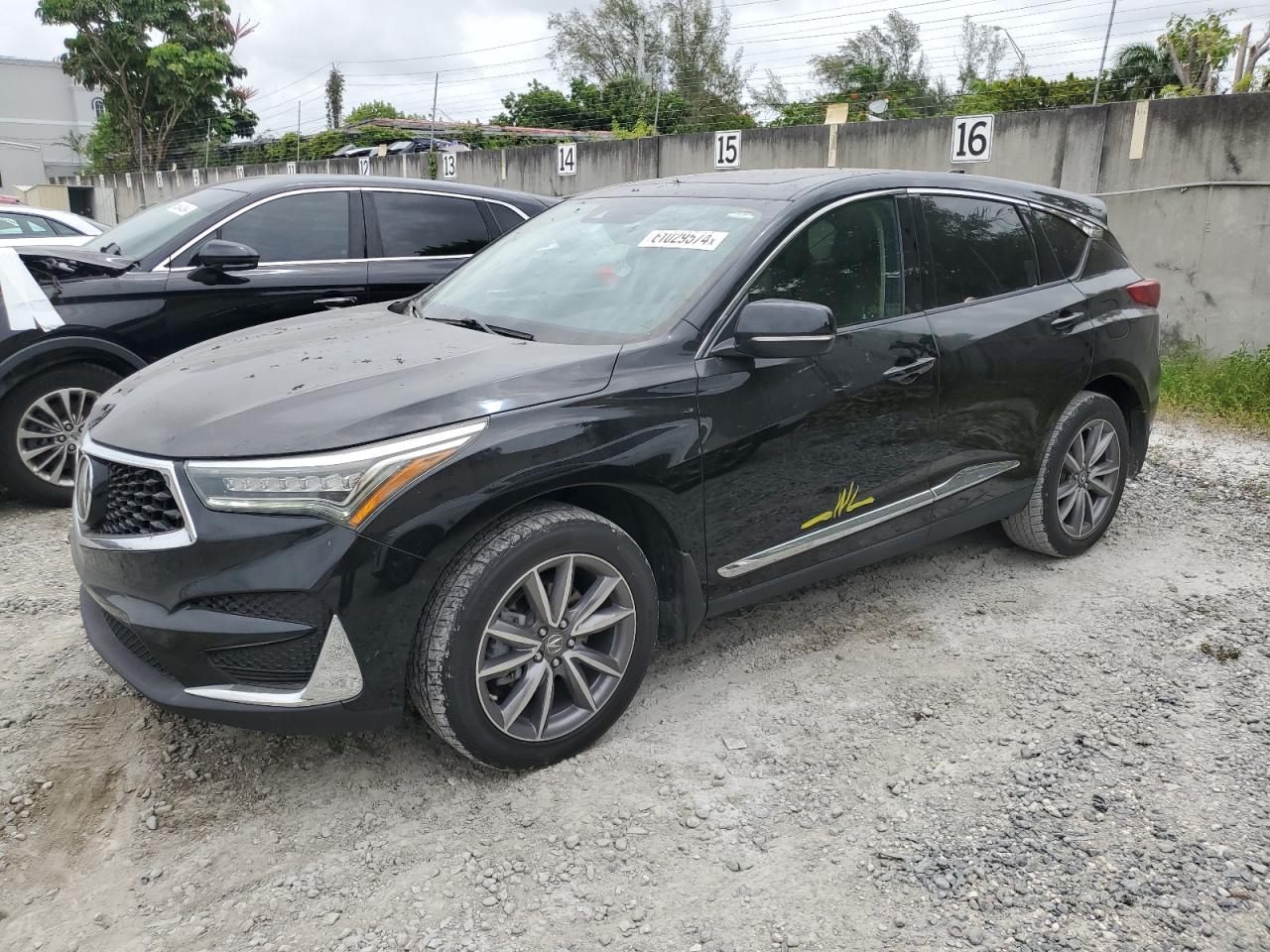 ACURA RDX TECHNO 2019
