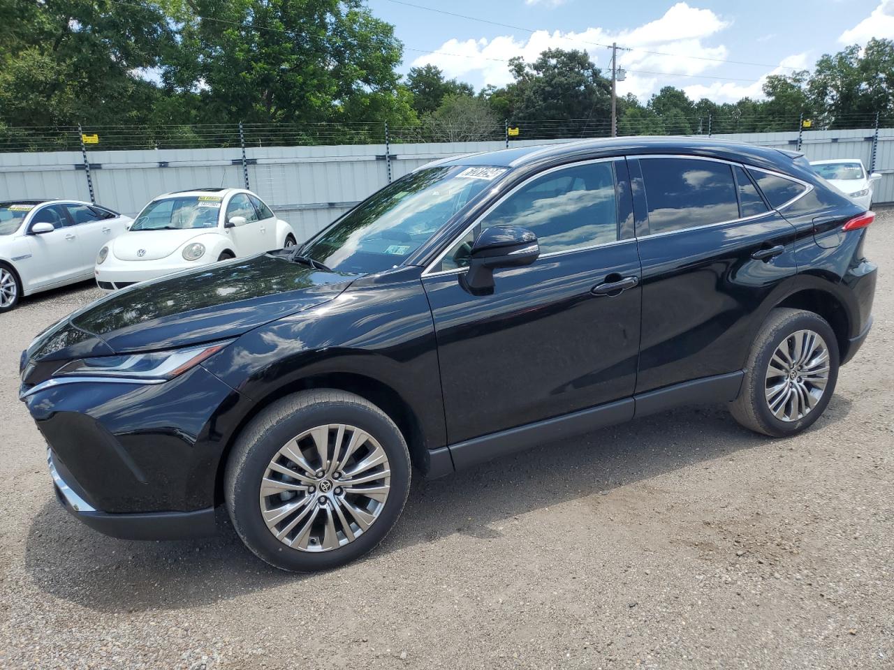 TOYOTA VENZA LE 2023