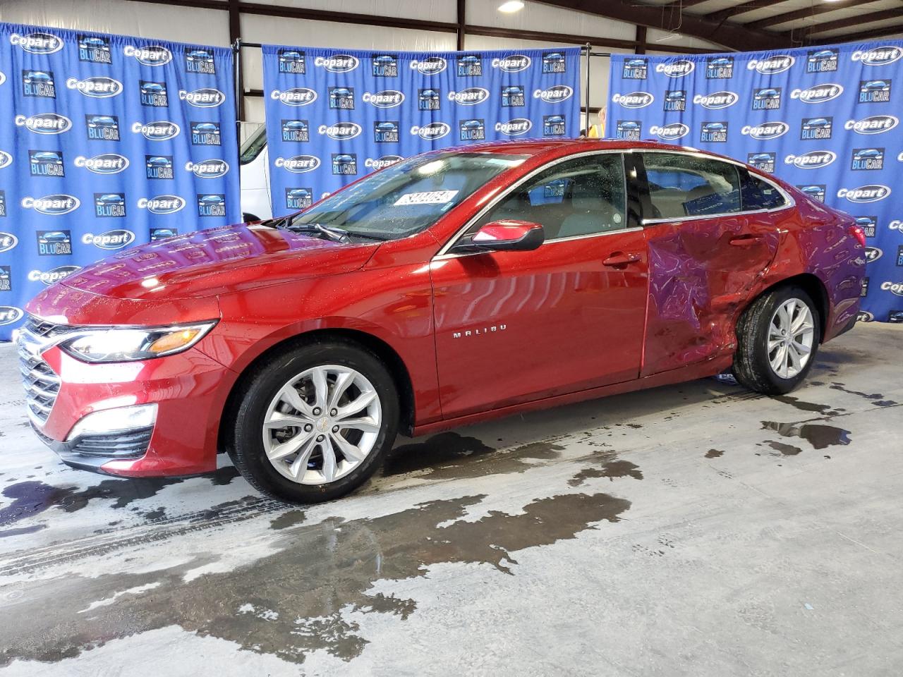 CHEVROLET MALIBU LT 2024