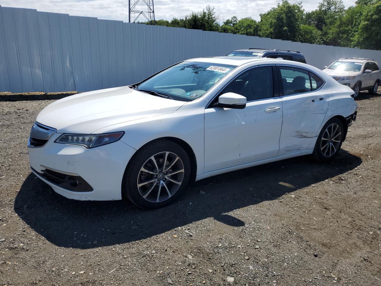 ACURA TLX ADVANC 2015