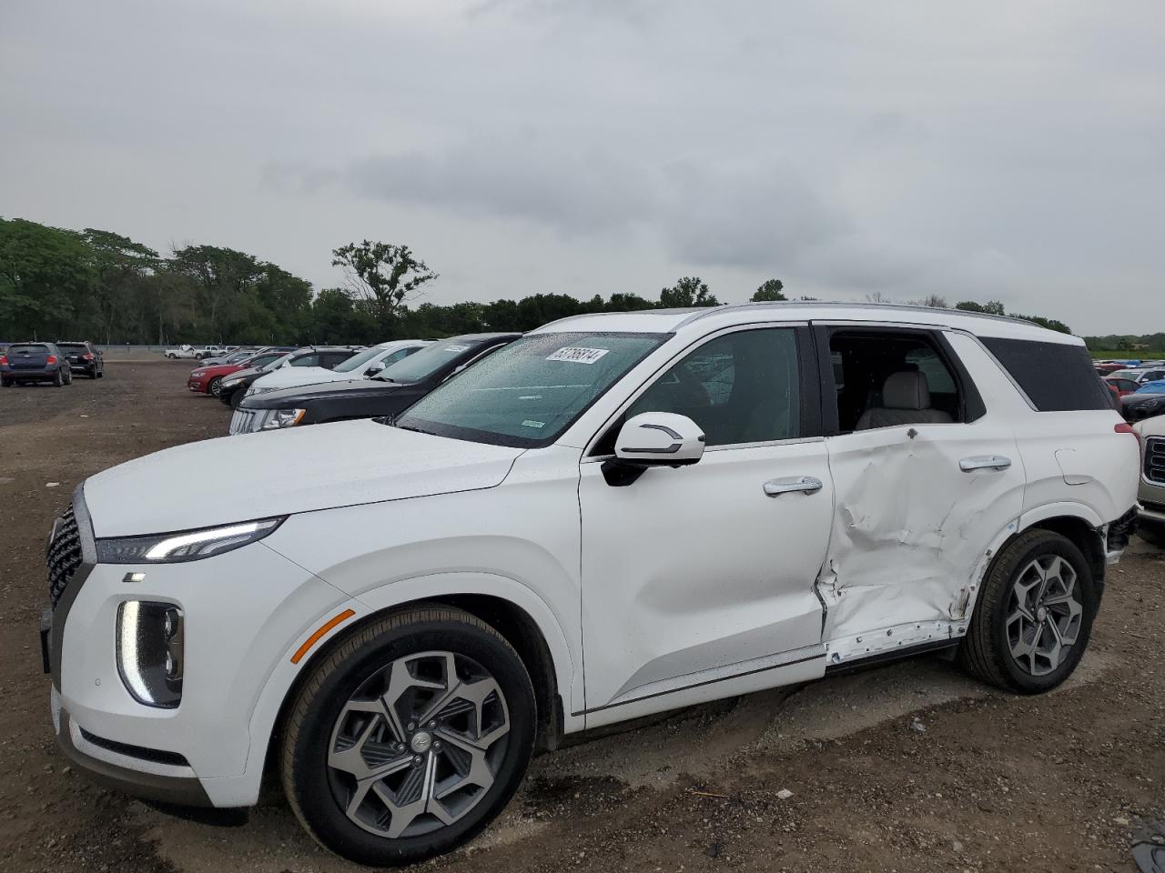 HYUNDAI PALISADE C 2022