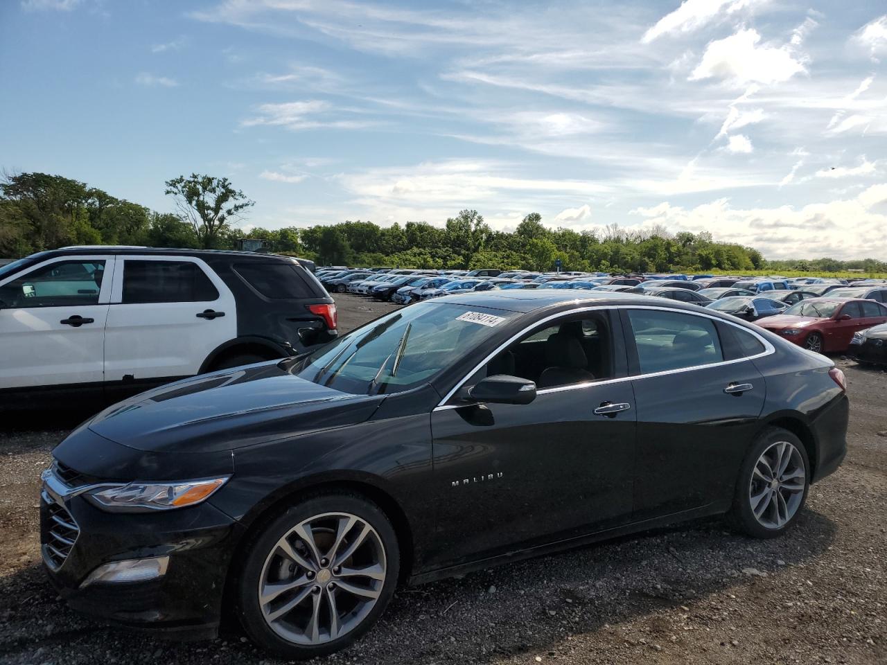 CHEVROLET MALIBU 2022