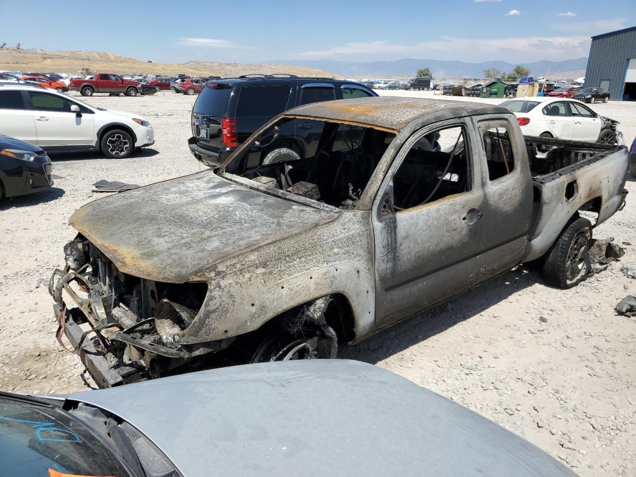 TOYOTA TACOMA ACC 2006