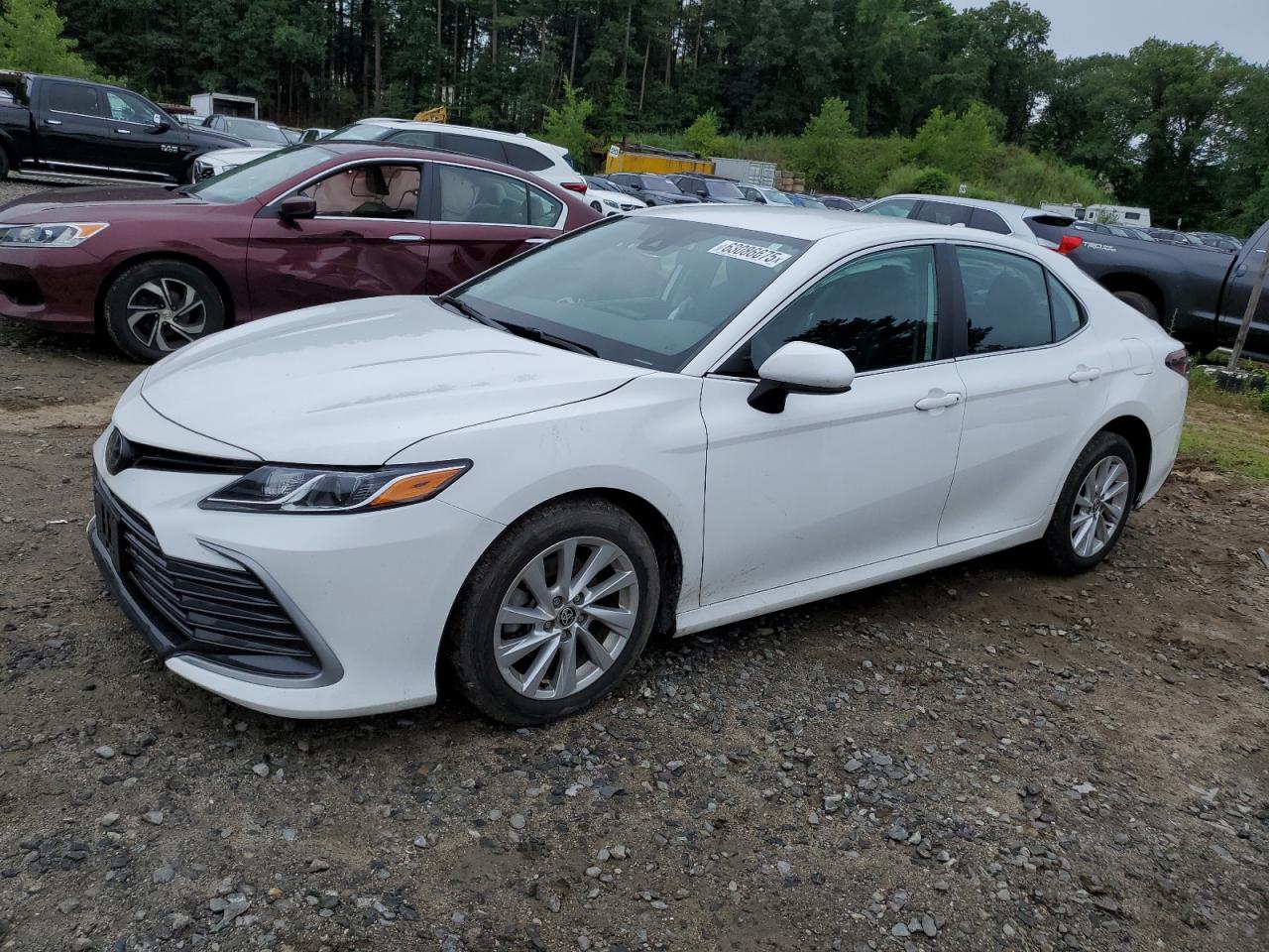 TOYOTA CAMRY LE 2023