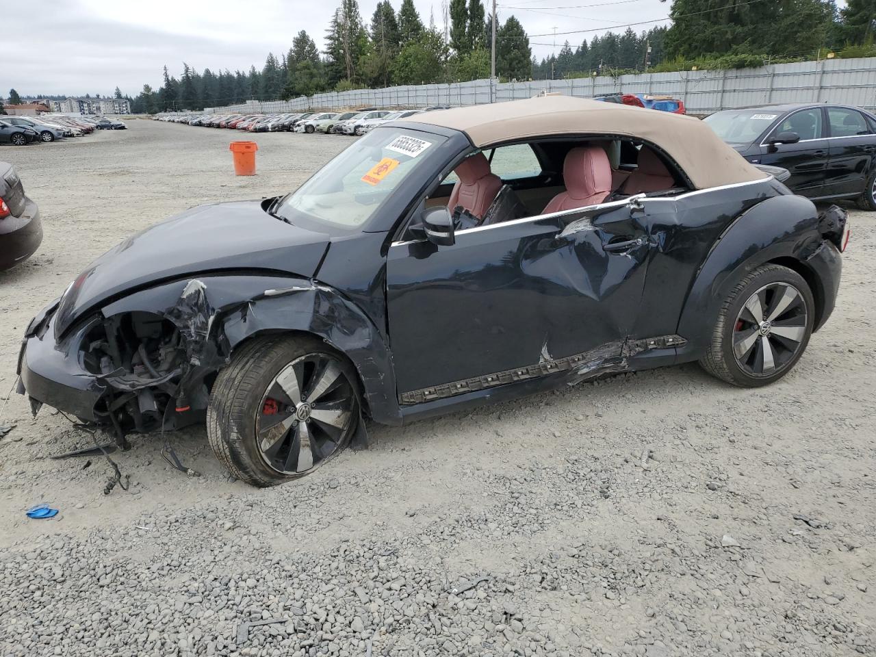 VOLKSWAGEN BEETLE TUR 2013