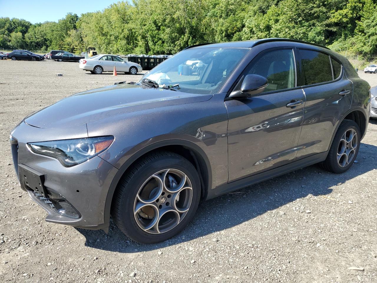ALFA ROMEO STELVIO BASE 2025