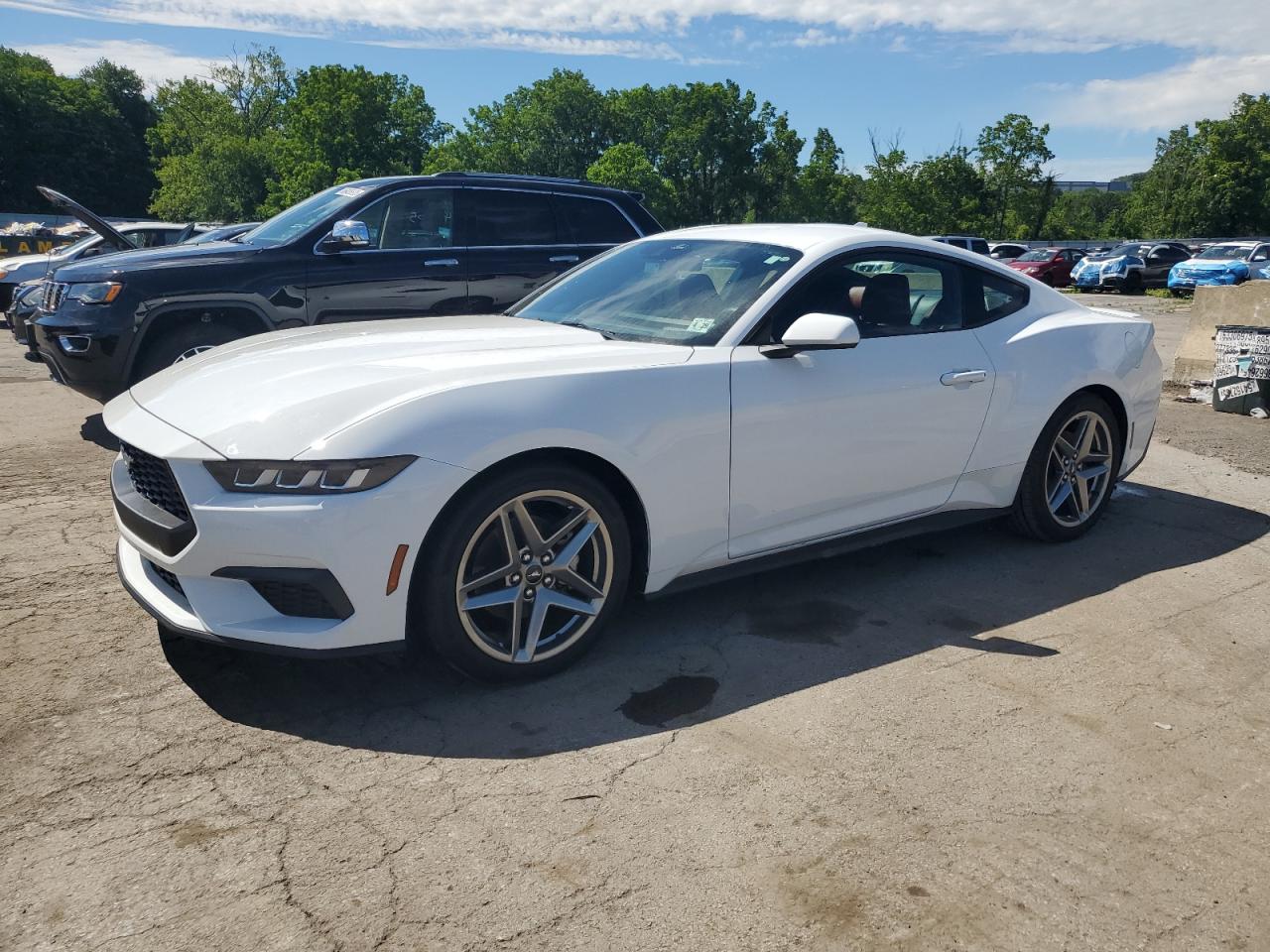 FORD MUSTANG 2024
