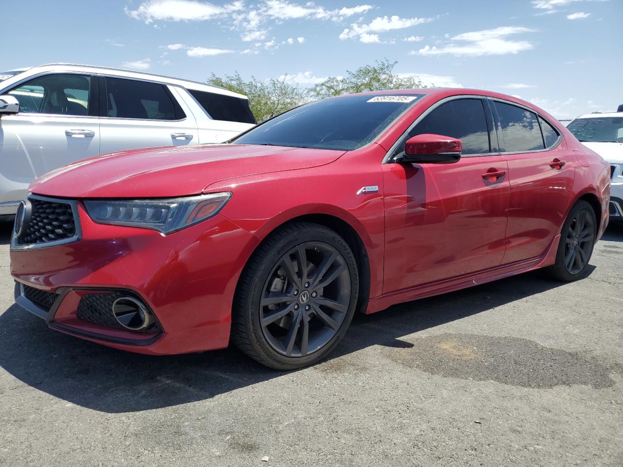 ACURA TLX TECHNO 2019