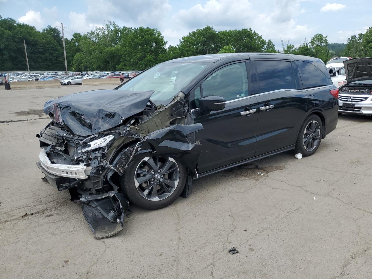 HONDA ODYSSEY EL 2023