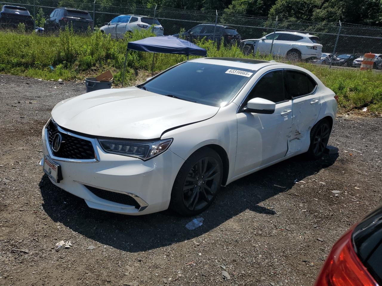 ACURA TLX TECH 2018