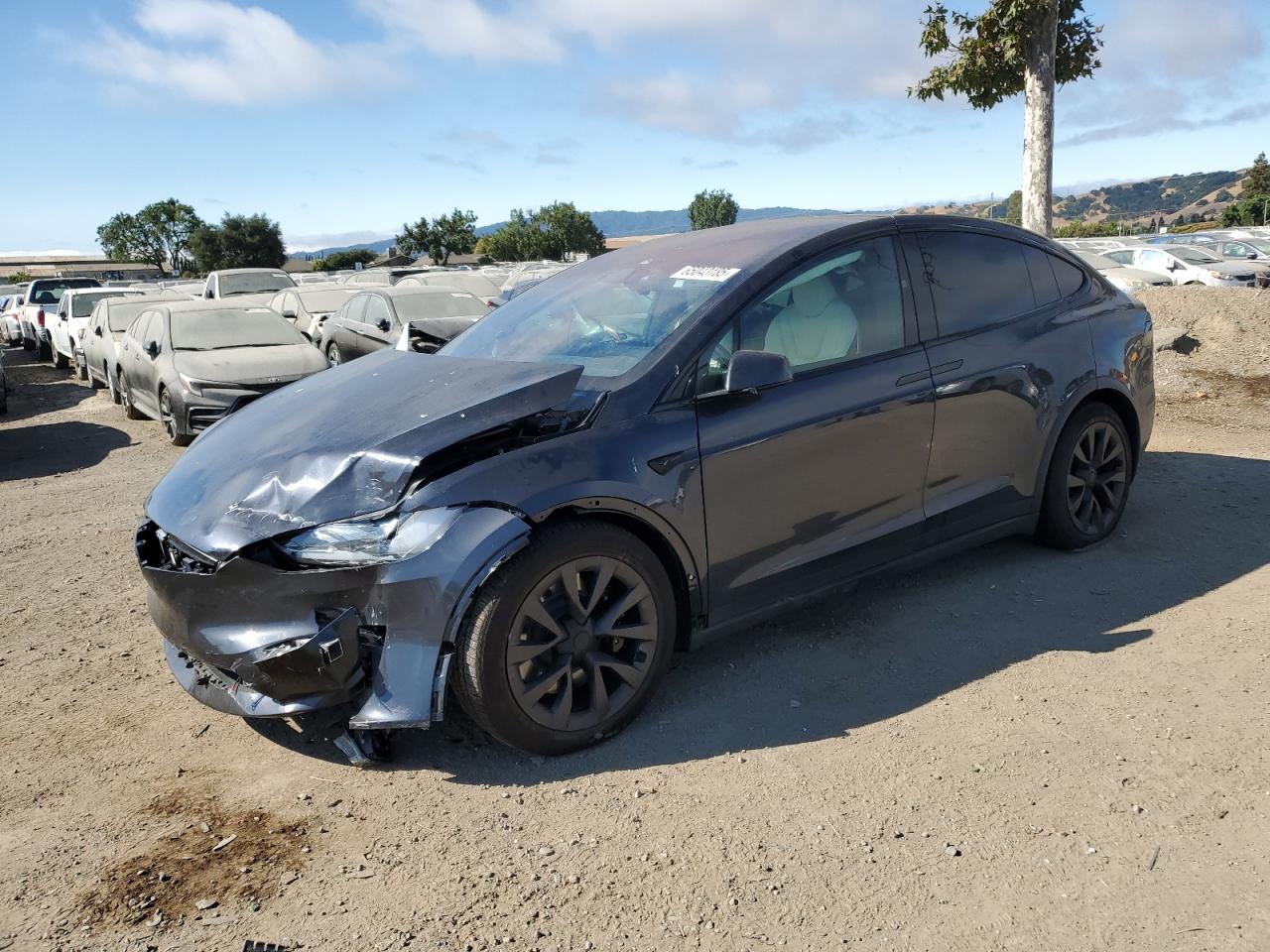 TESLA MODEL X 2024