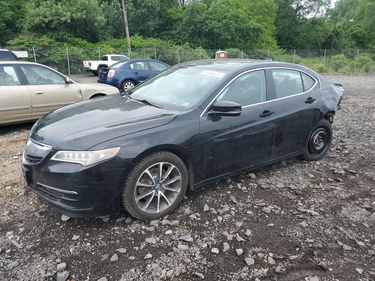 ACURA TLX TECH 2015