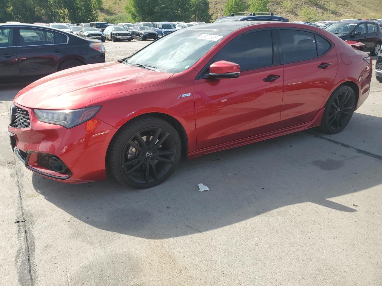 ACURA TLX ADVANCE 2020