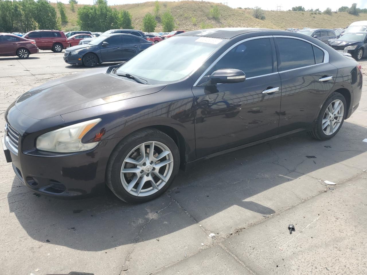 NISSAN MAXIMA 2010