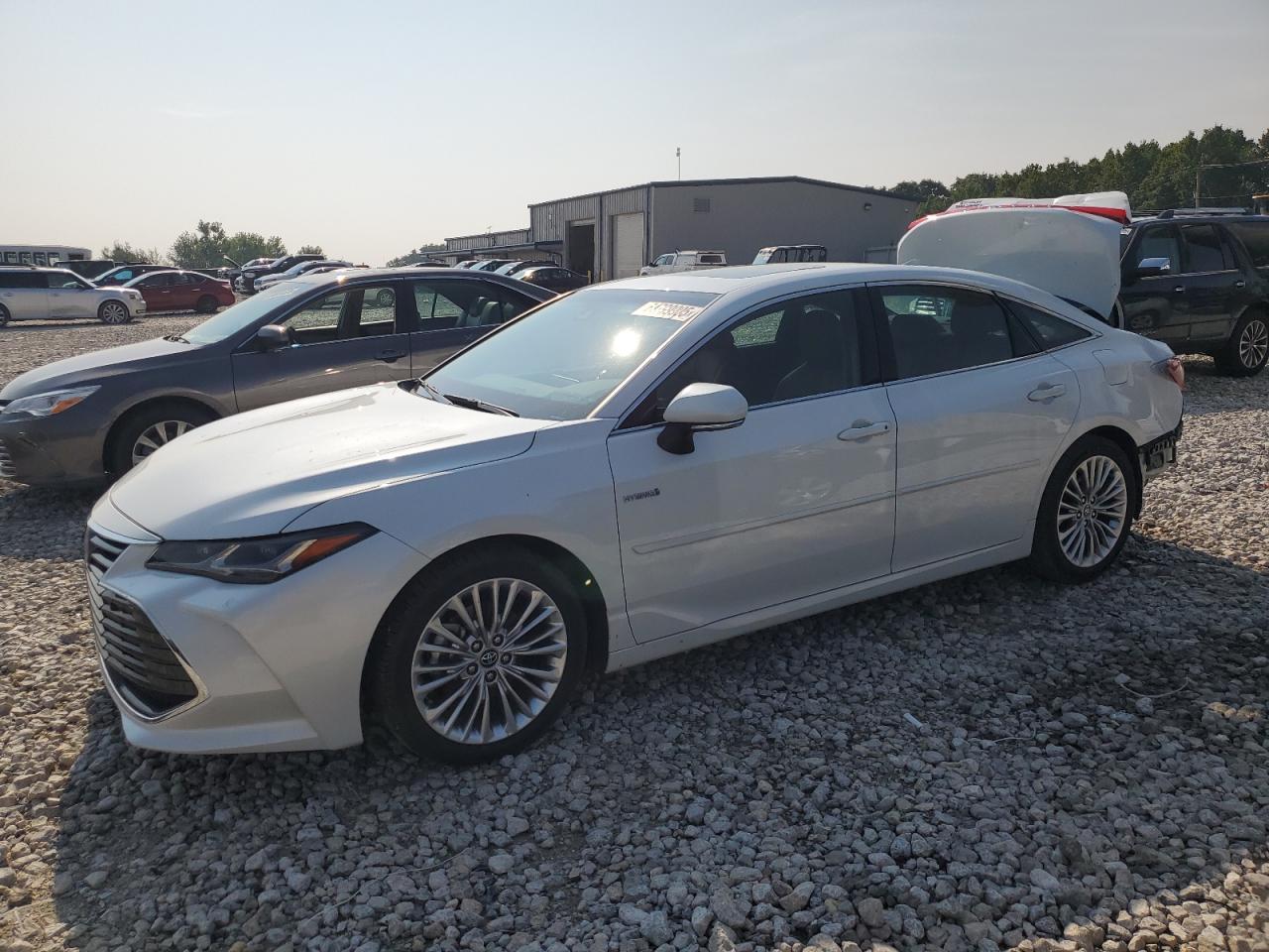TOYOTA AVALON LIM 2020