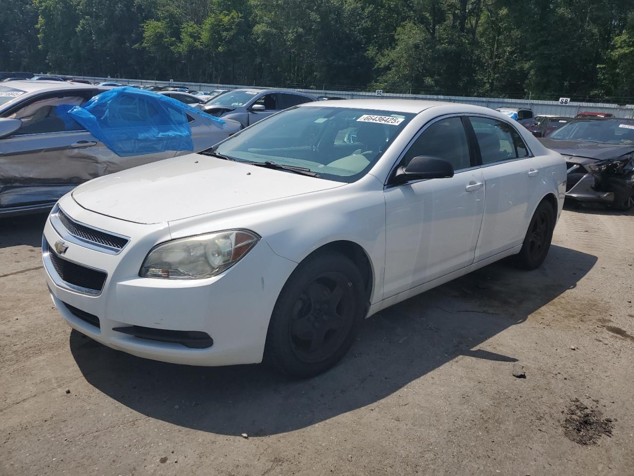 CHEVROLET MALIBU LS 2010