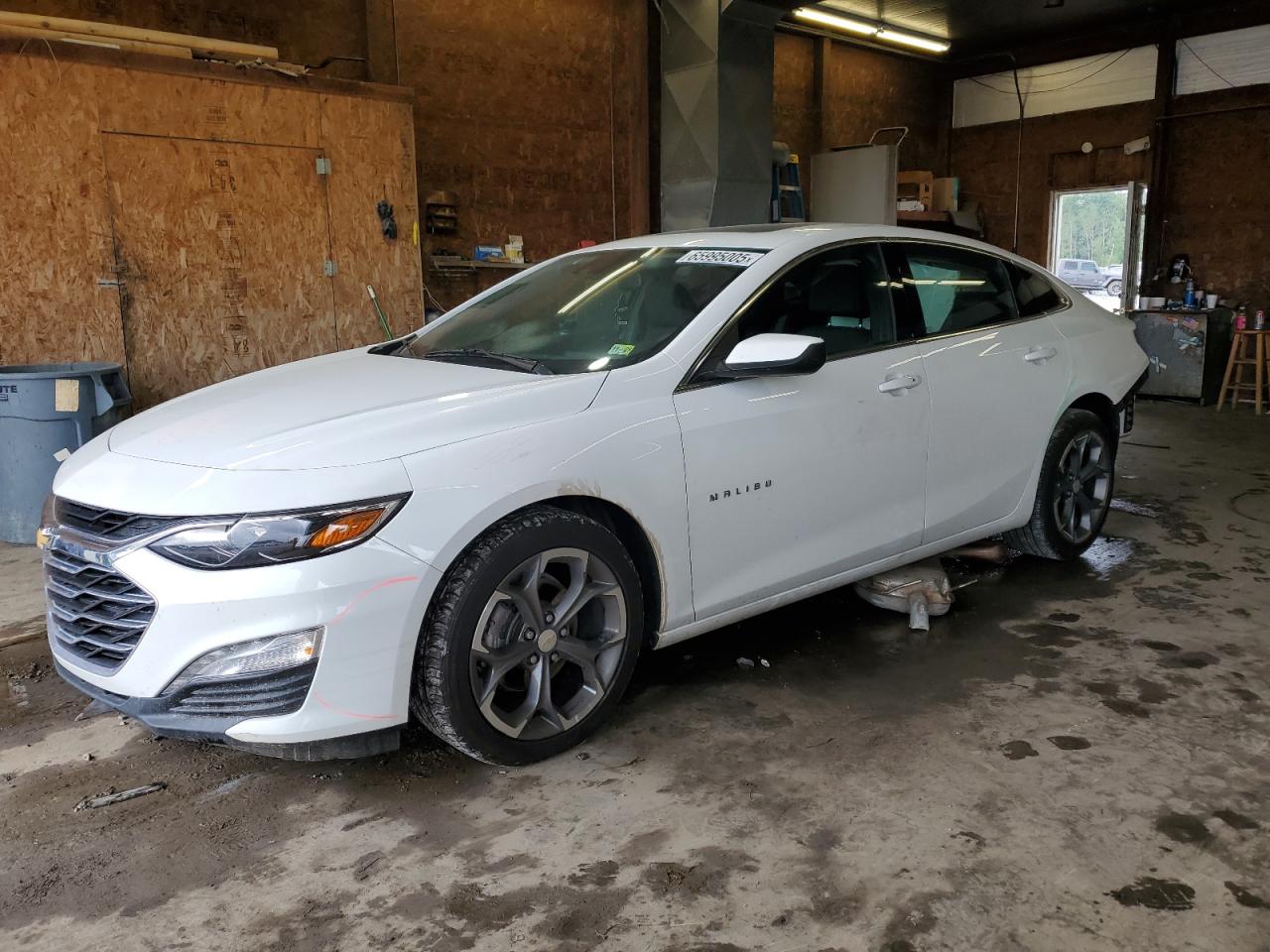CHEVROLET MALIBU 2024