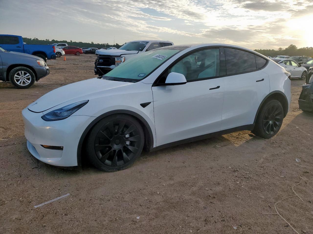 TESLA MODEL Y 2021