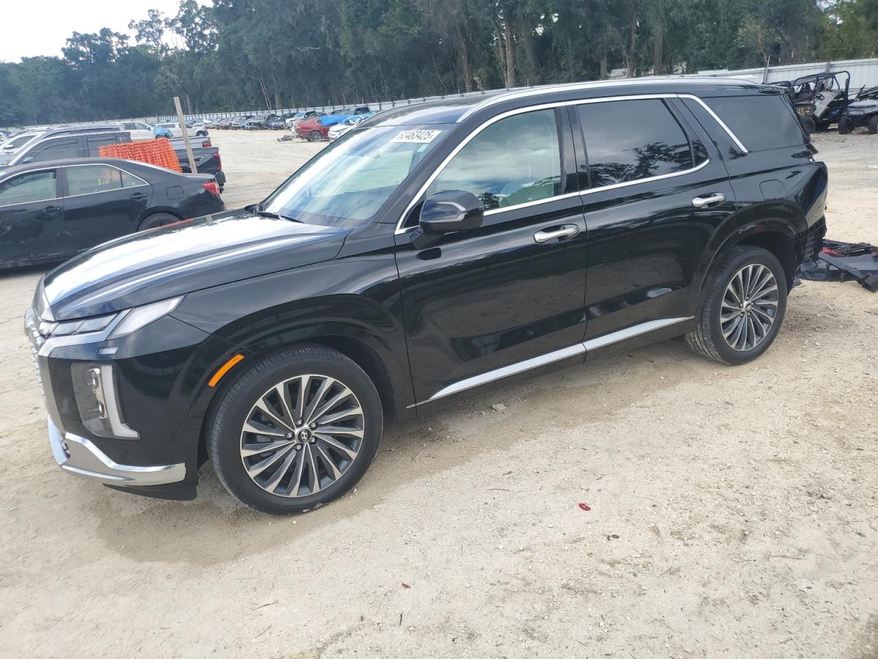 HYUNDAI PALISADE C 2024