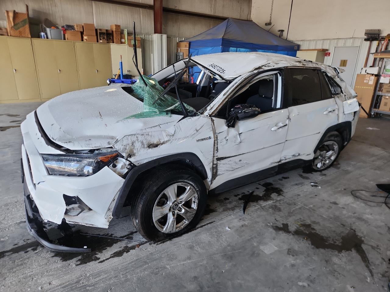TOYOTA RAV4 LE 2020
