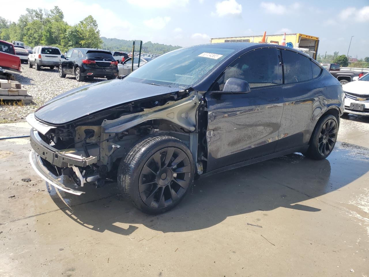 TESLA MODEL Y 2024