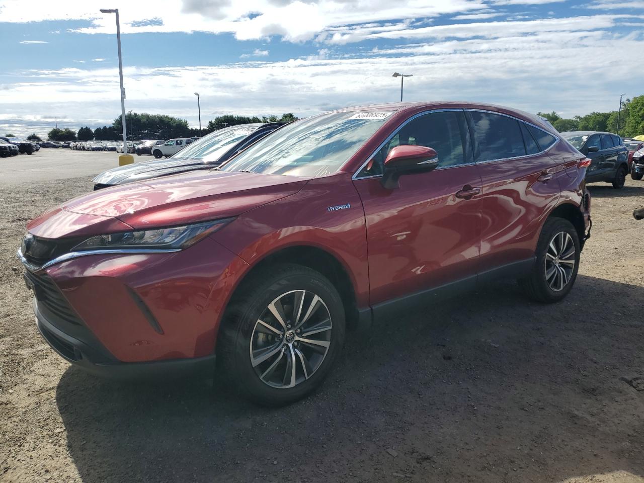 TOYOTA VENZA LE 2021