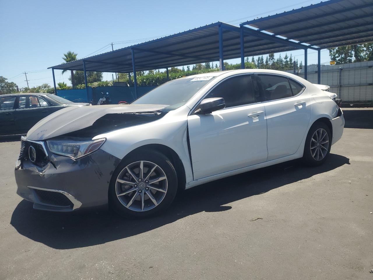 ACURA TLX 2019