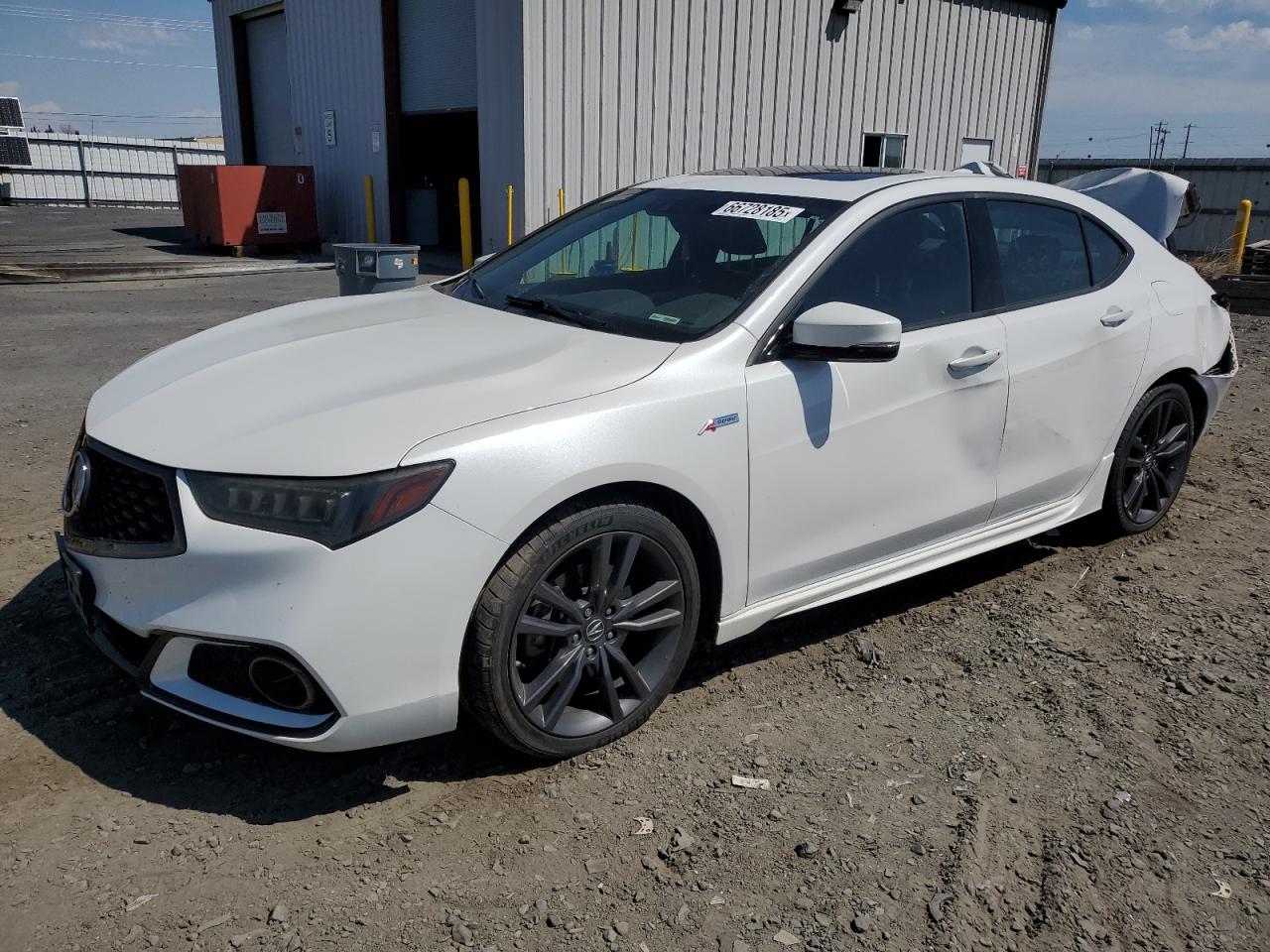 ACURA TLX TECHNO 2019