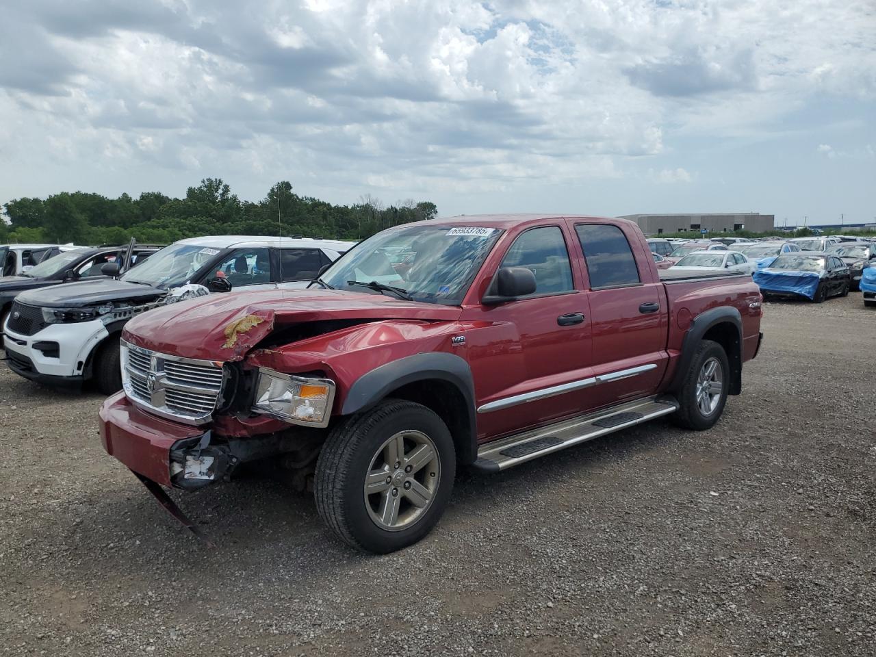DODGE DAKOTA LAR 2011