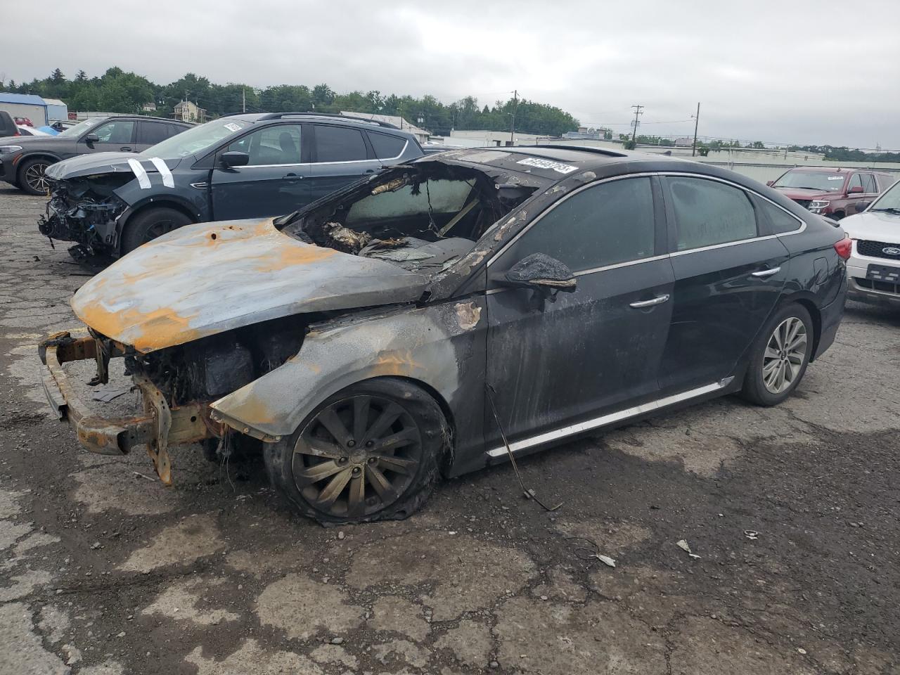 HYUNDAI SONATA SPO 2017