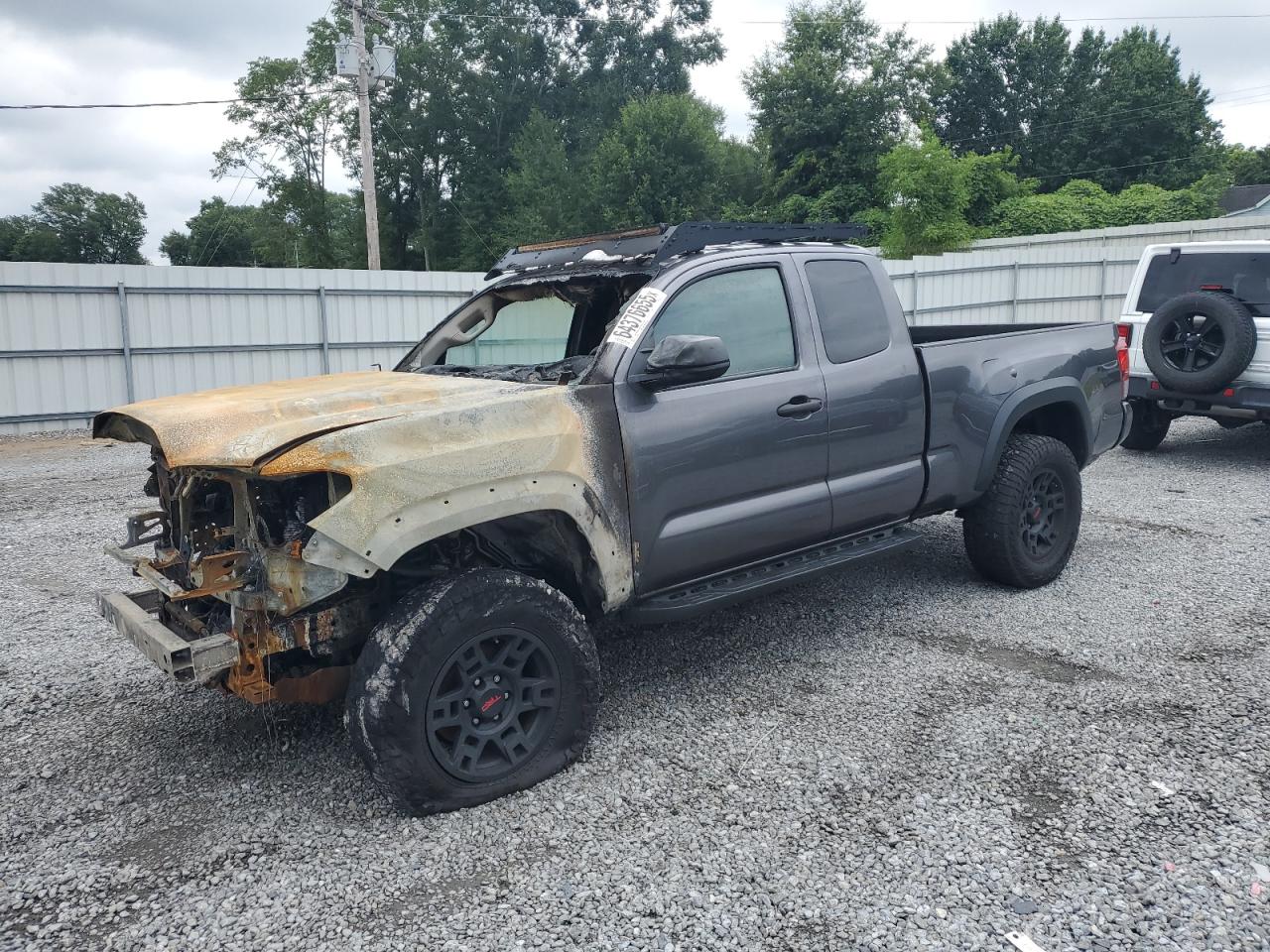 TOYOTA TACOMA ACC 2019