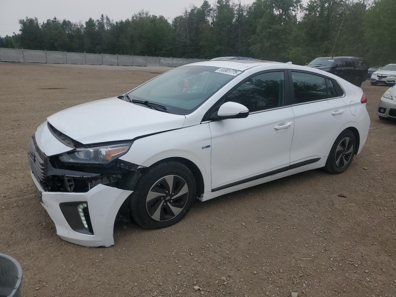 HYUNDAI IONIQ LIMI 2019