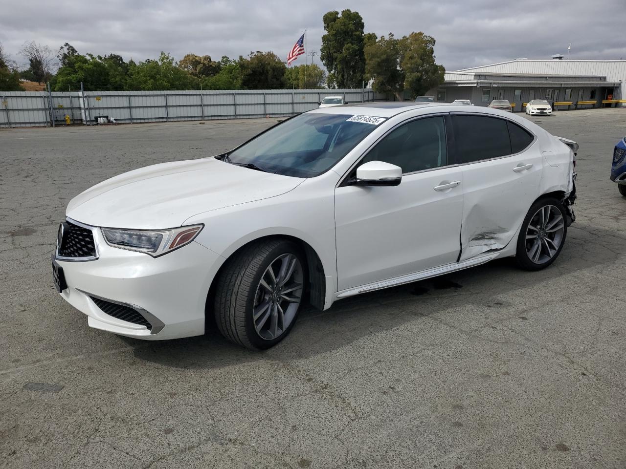 ACURA TLX TECHNO 2019