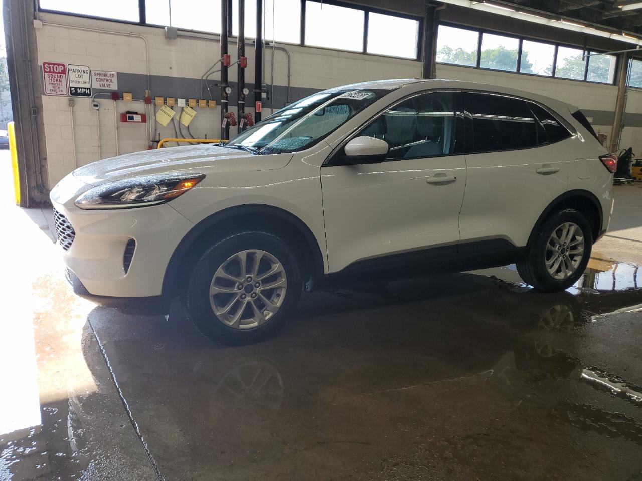 FORD ESCAPE SE 2020