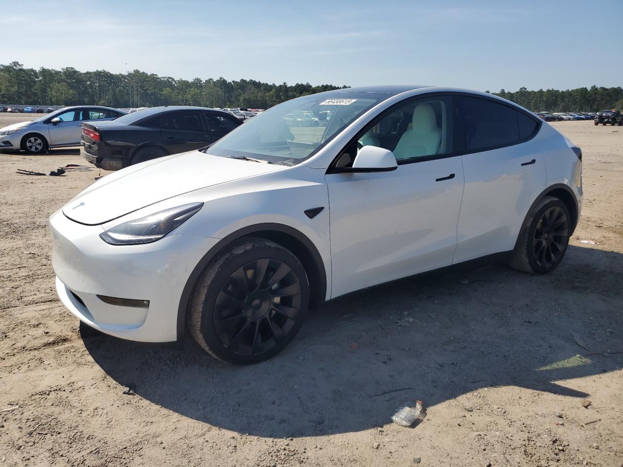 TESLA MODEL Y 2023