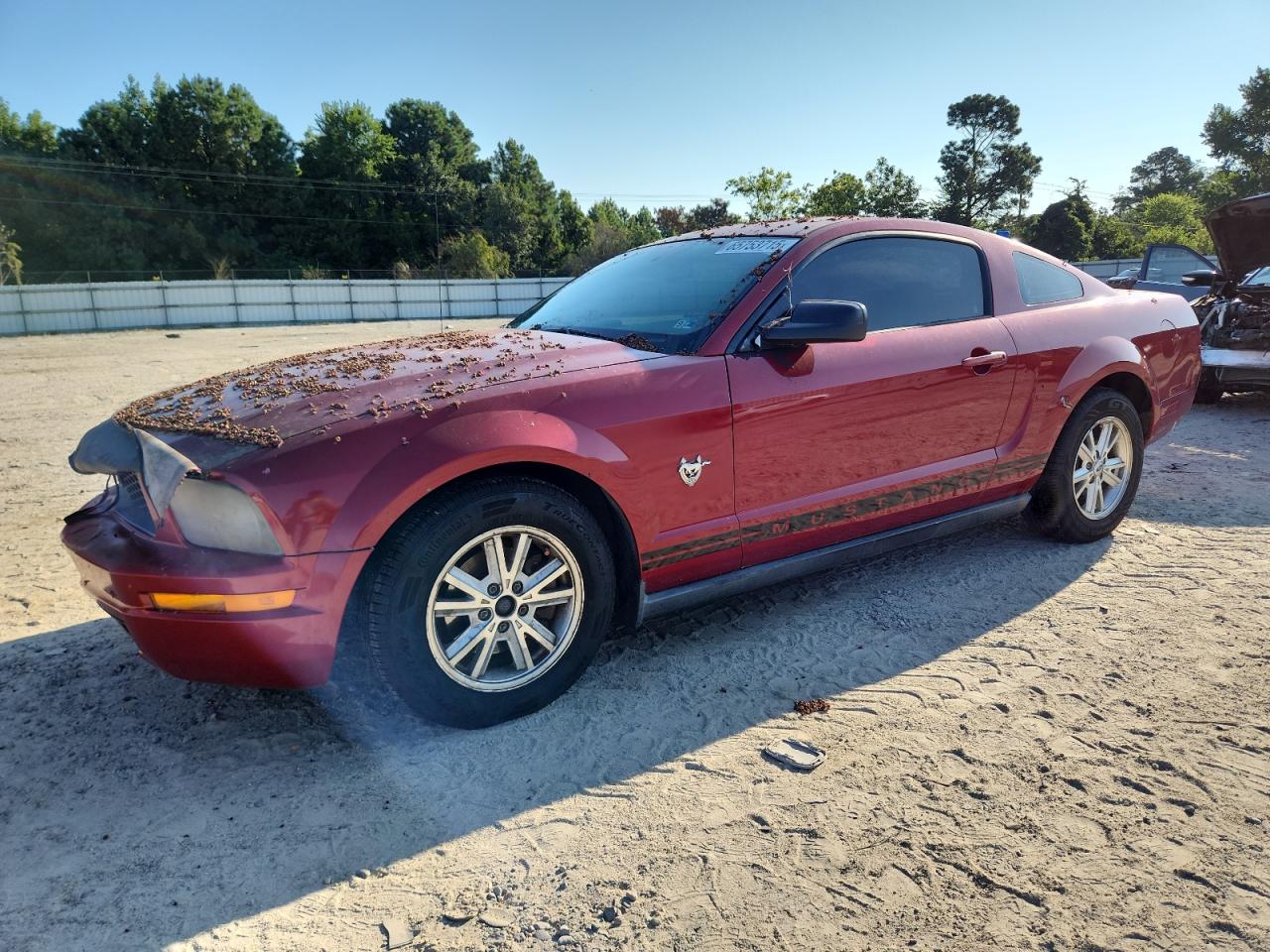 FORD MUSTANG 2009