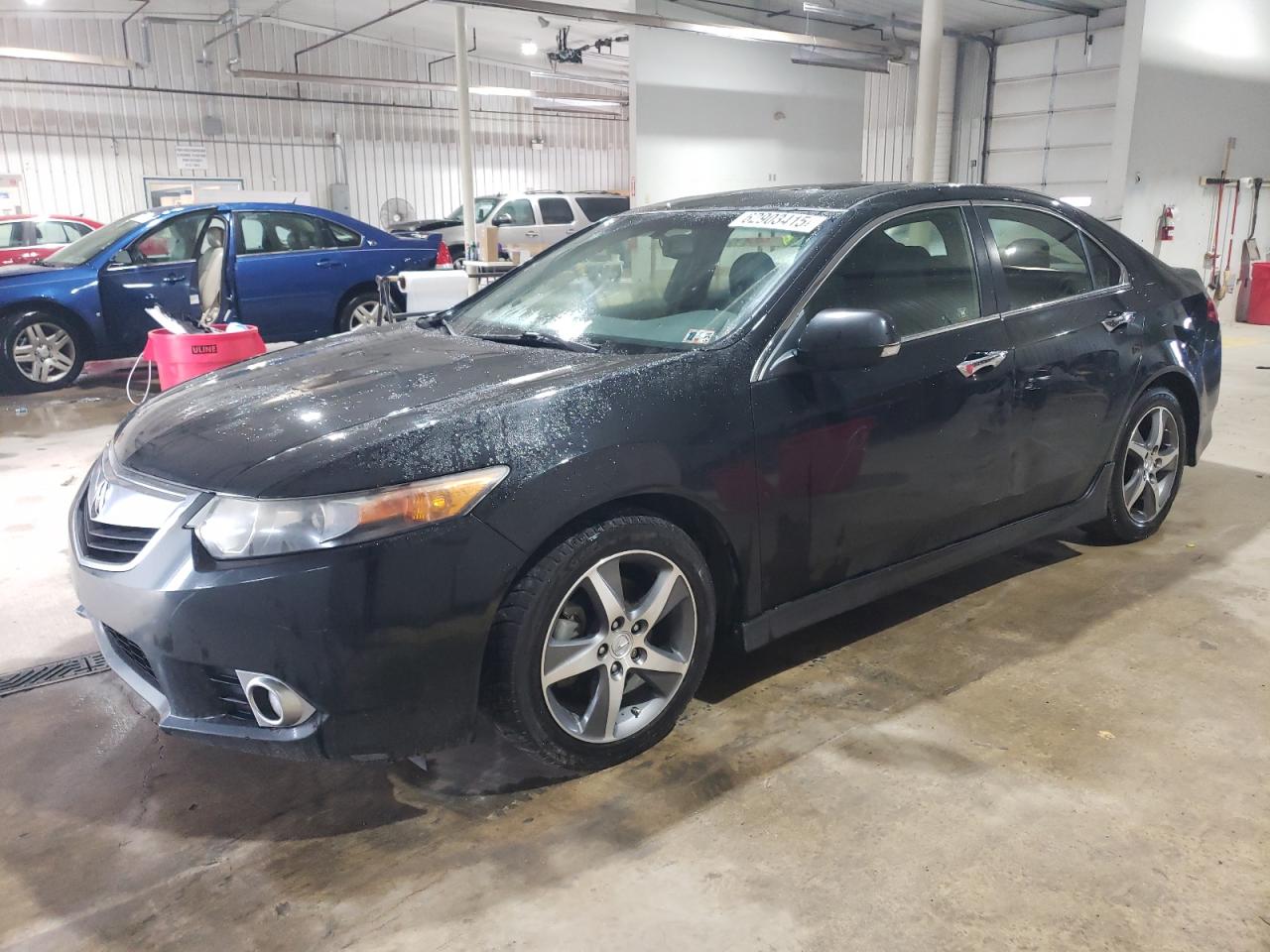 ACURA TSX SE 2012