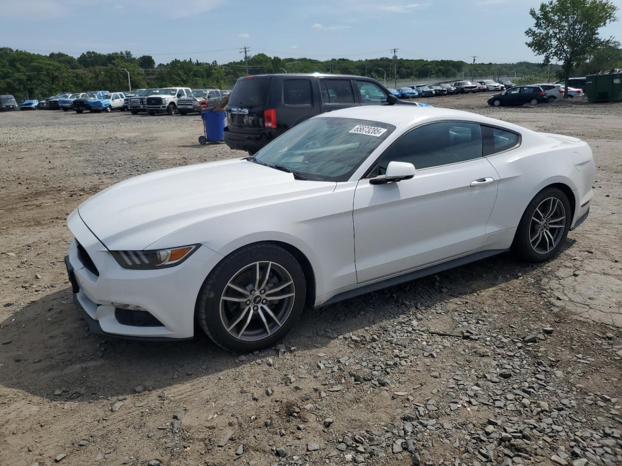 FORD MUSTANG 2016